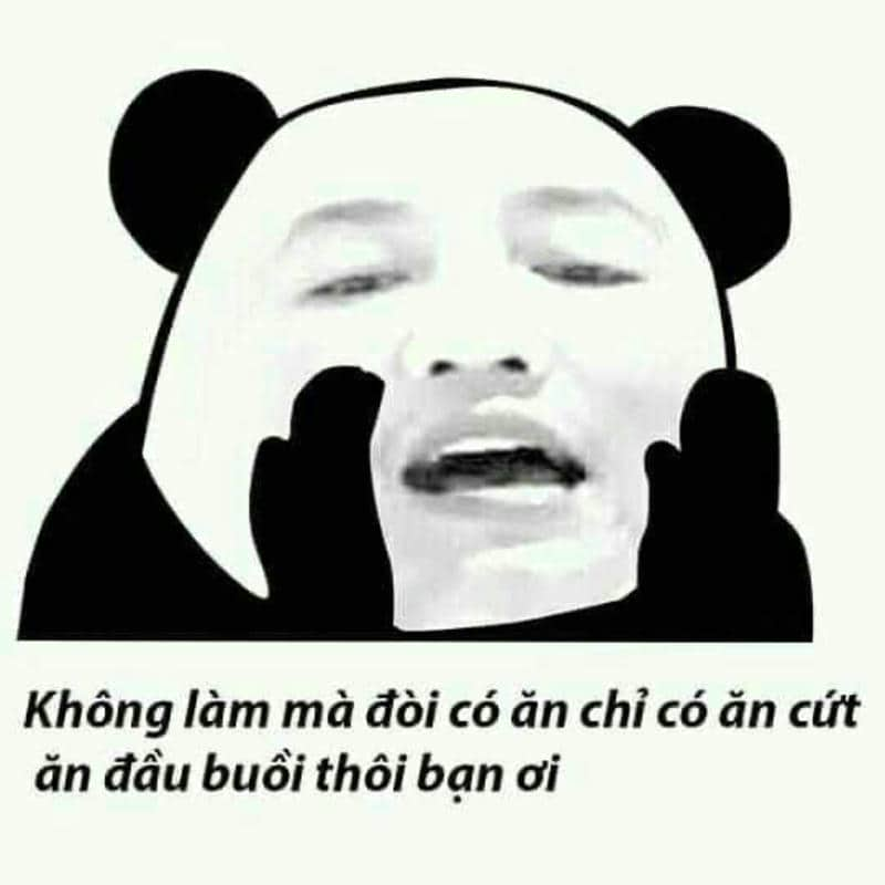 ảnh bựa hài hước