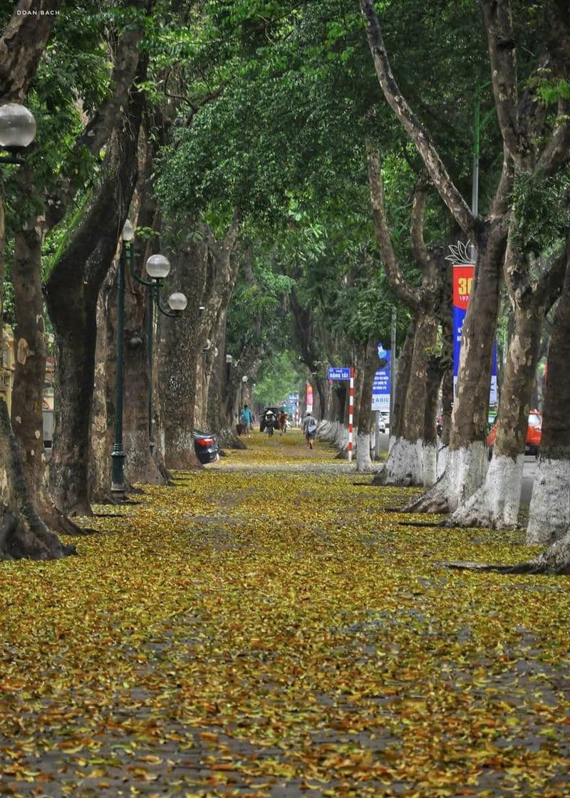 ảnh đẹp hà nội