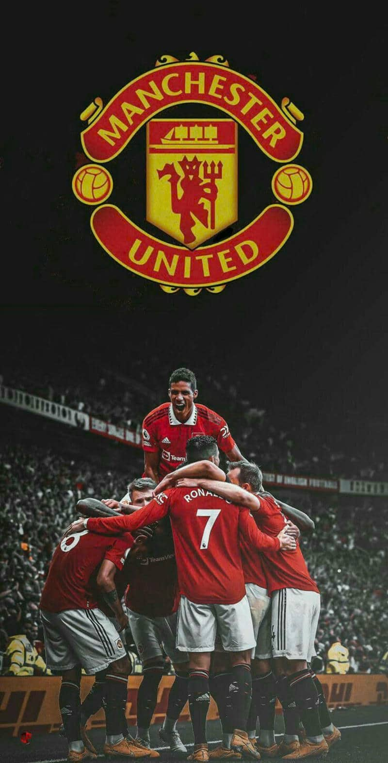 ảnh nền manchester united