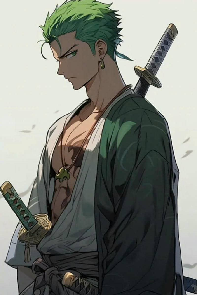 ảnh zoro cute