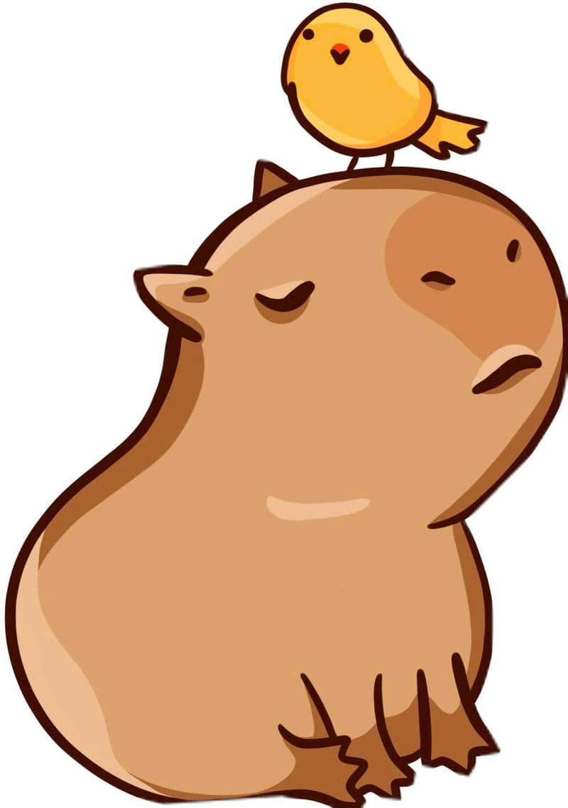 avt capybara hình nền cute