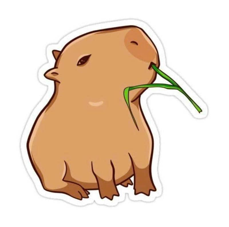 capybara chibi hình