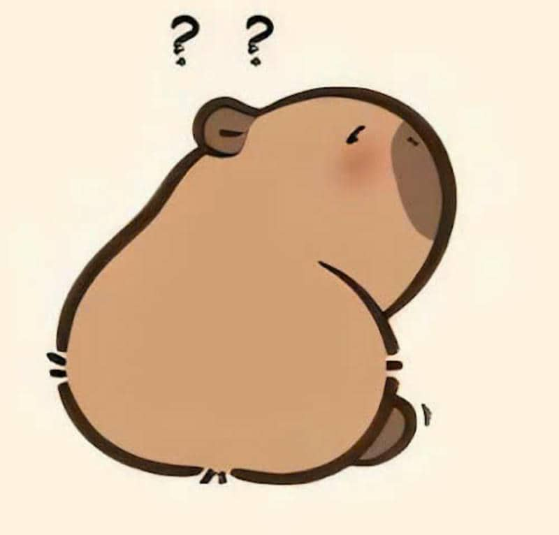 capybara cute ảnh