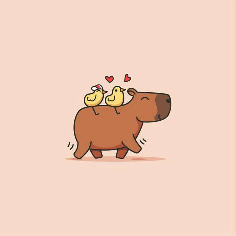 capybara hình ảnh cute