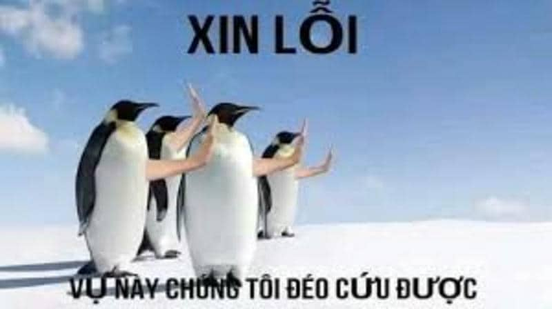 còn cứu được meme