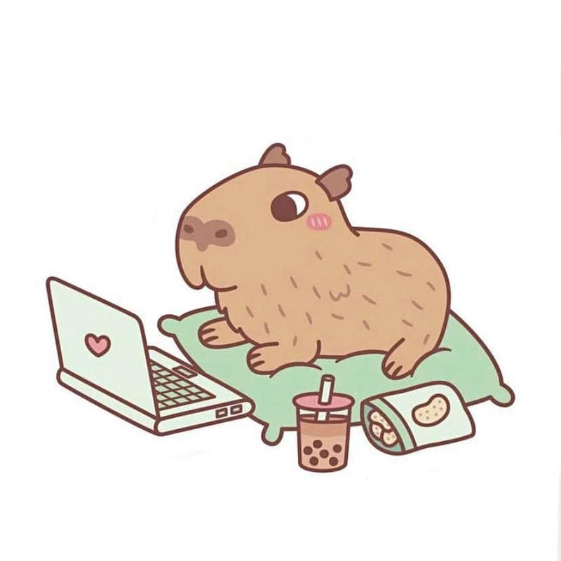 hình ảnh capybara cute chibi