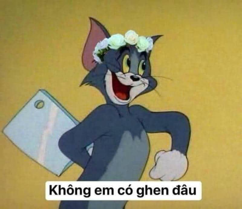 hình bựa hài