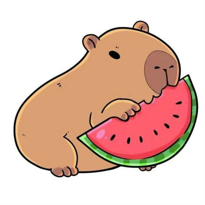 nền máy tính capybara