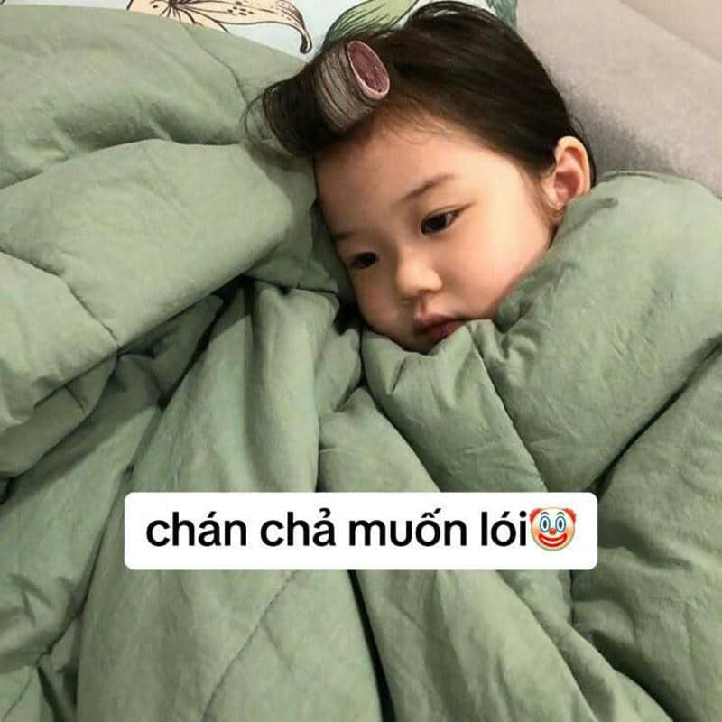 troll ảnh chế hài bựa