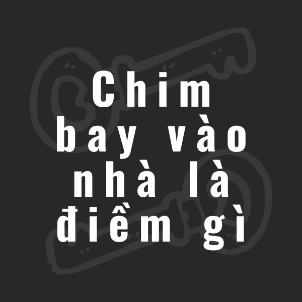 chim bay vào nhà là điềm gì