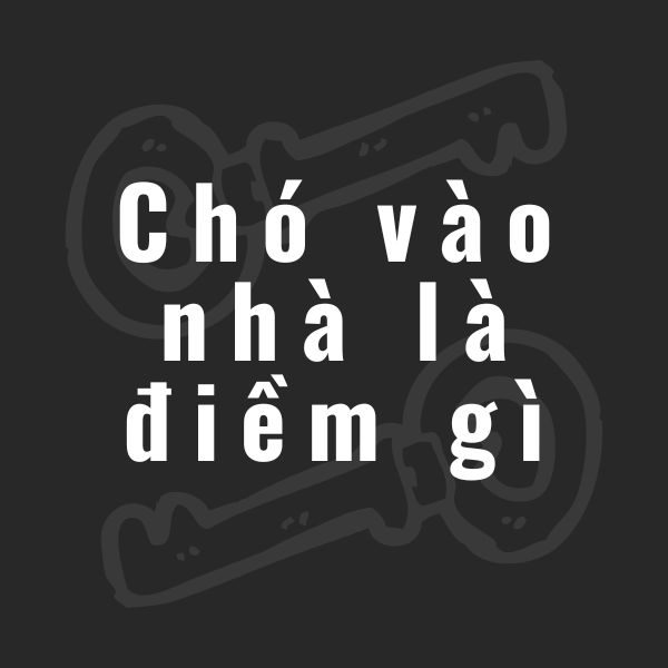 chó vào nhà la điềm gì